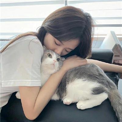 精灵宝可梦:大家的故事