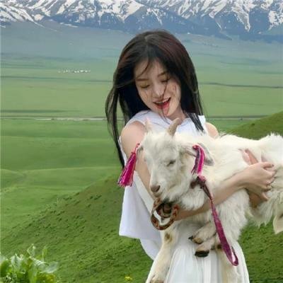 少年鳄鱼帮2重返荣耀