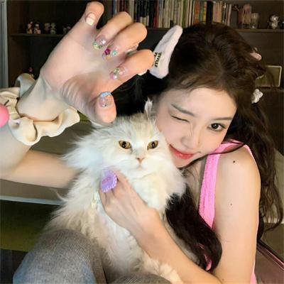 穿靴子的猫:萌猫三剑客